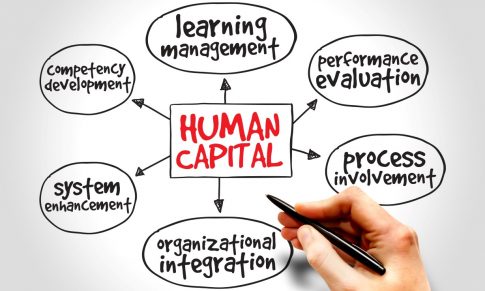 O papel dos RH na valorização da Organização