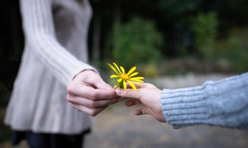 Agradecer nas organizações