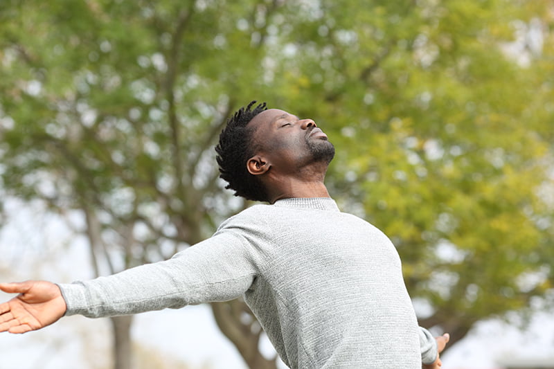 Mindfulness O Aqui e Agora
