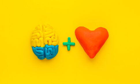 Inteligência emocional – Opção de liderança perante os desafios da mudança