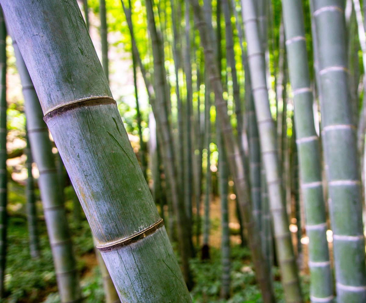 Lugar e horário fixos