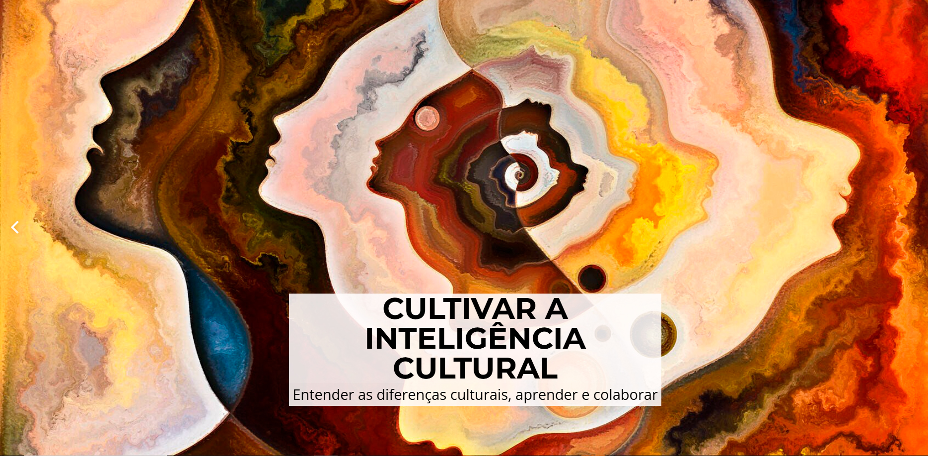 INTELIGÊNCIA INTERCULTURAL